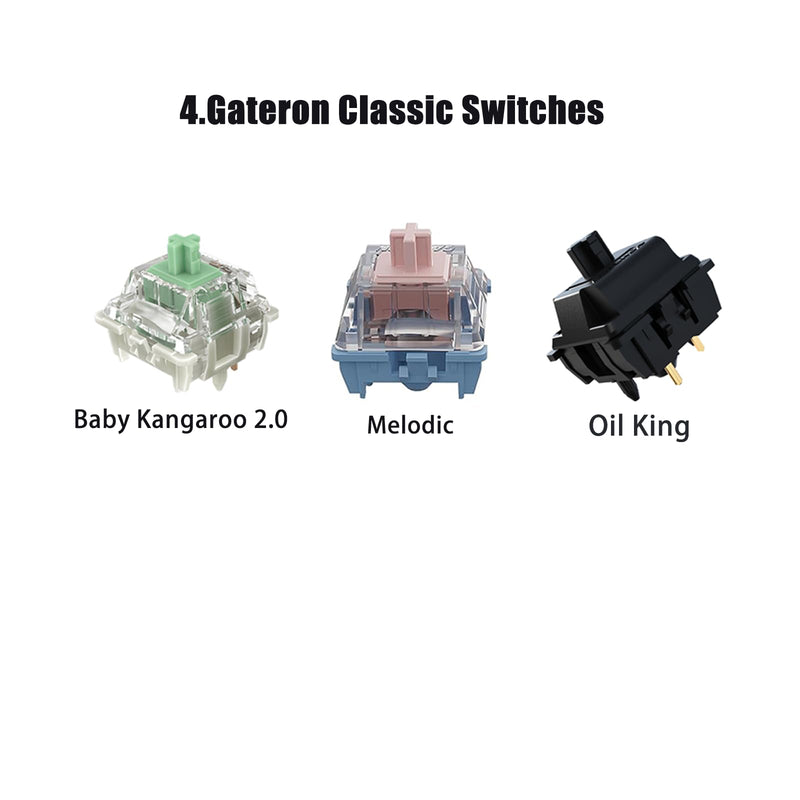 Gateron Series New and Classic Mechanical Keyboard Switches Sample Pack 20pcs Gateron mix switches sample 20pcs