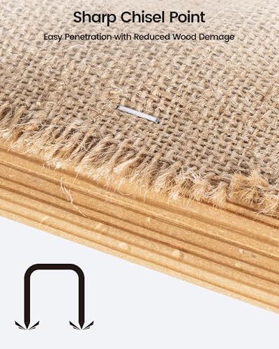 meite T50 Staples, Assorted 5 Sizes (1/4", 5/16", 3/8", 1/2" and 9/16") Staples for Staple Gun, 7,560 Counts, Galvanized, 20 Gauge 3/8" Crown, Ideal for Upholstery, Construction, Furniture, Crafts 5 Sizes (1/4" - 9/16") - 7,560 Pcs