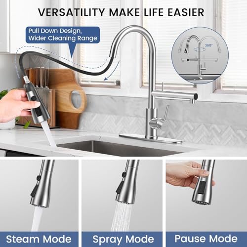 FEELSO Kitchen Faucets with Filter + 2 Pack Replacement Filters FL1