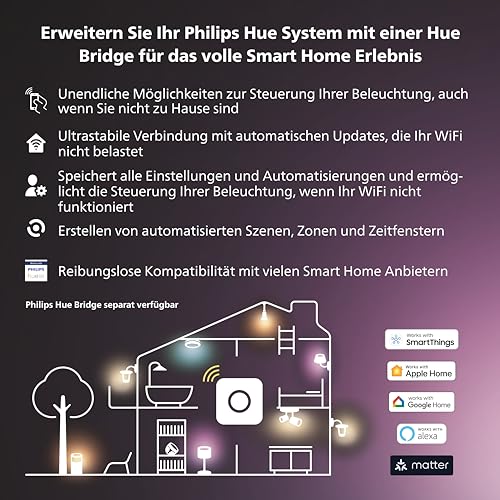 Philips Hue Extension Cable 2.5 Metres for Buiten IP67 Eenvoudige Installation Connected to Hue Bridge 2.5 m cable + T-plug