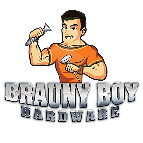 (250) BRAUNY BOY Grey - Metal Roofing Screws #10 × 1 Inch, Rubber Washer, Sharp Point, Metal to Wood Siding Screws - Qty (250) Screws 250