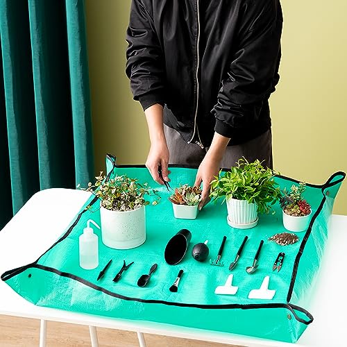 Melphoe Succulent Tools and Ceramic Succulent Pots