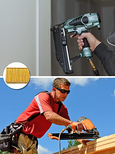 Tinlade 7500 Counts 18 Gauge 1/2 x 1/4 Inch Gold Galvanized Finish Narrow Crown Staples for Pneumatic, Electric Stapler/Brad Nailer