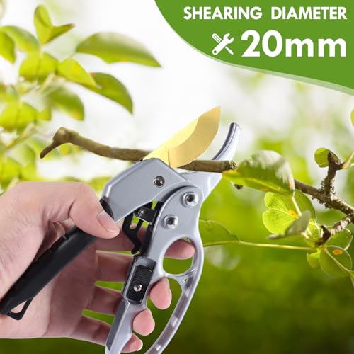 pruning shears & gardening gloves set