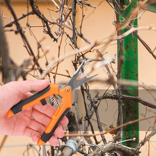 20 Pack 6.5 Inch Garden Pruning Scissors, Hand Pruner with Stainless Steel Blades, Sharp Point Gardening Shears Cutter, Gardening Pruning Shear, Supplies & Accessories(Orange)