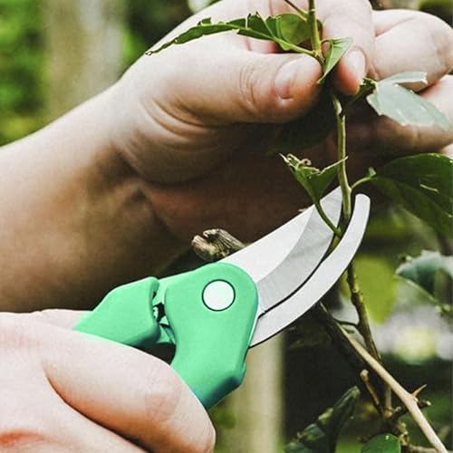 24 Piece Bonsai Tree Kit, Bonsai Trimming Tool Set, Bonsai Starter Kit, Carbon Steel Scissors Cutter Shears, Stainless Steel Rake Shovel, Gardening Pruning Tools, Gloves