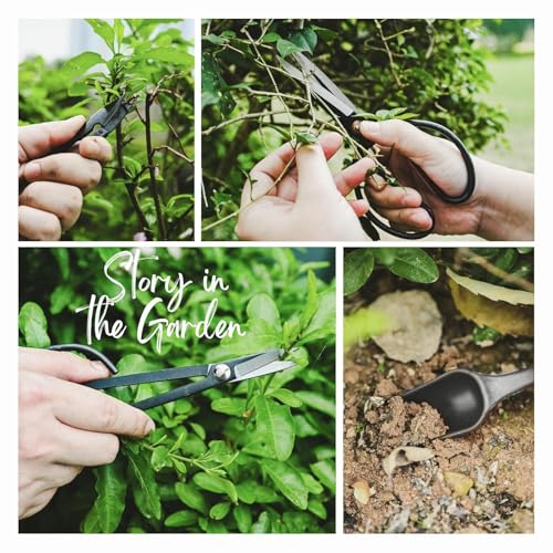 24 Piece Bonsai Tree Kit, Bonsai Trimming Tool Set, Bonsai Starter Kit, Carbon Steel Scissors Cutter Shears, Stainless Steel Rake Shovel, Gardening Pruning Tools, Gloves