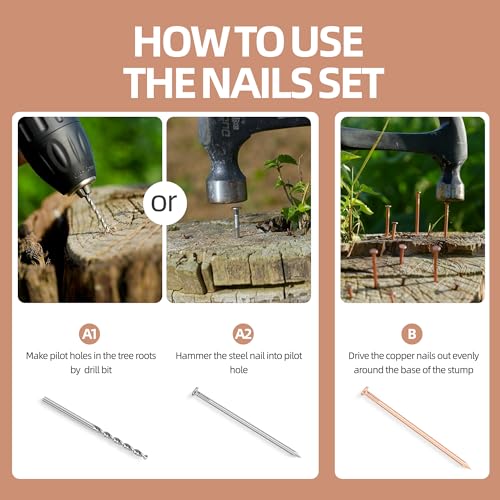 20 Pcs Copper Nails for Killing Trees, Stumps & Roots, 3.15 Inch Long Pure Copper Nails Bulk, Stump Removal Spikes with 1 Pcs 3.15 Inch Long Steel Nail and 1 PCS Drill (3.15 inches) 3.15 inches