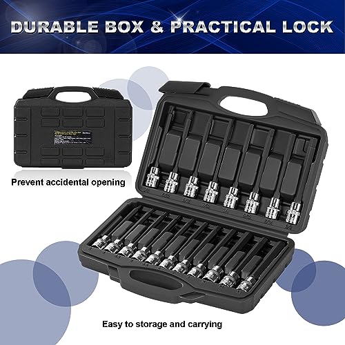 Reniteco 19-Piece 3/8 Inch Drive Extra Long Allen Hex Bit Socket Set, Standard SAE (1/8" - 3/8") & Metric(3mm-12mm)