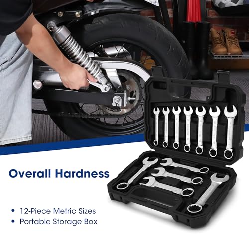 WORKPRO 12PCS Stubby Combination Wrench Set with Storage Box, Metric 8-19mm Combination Wrenches