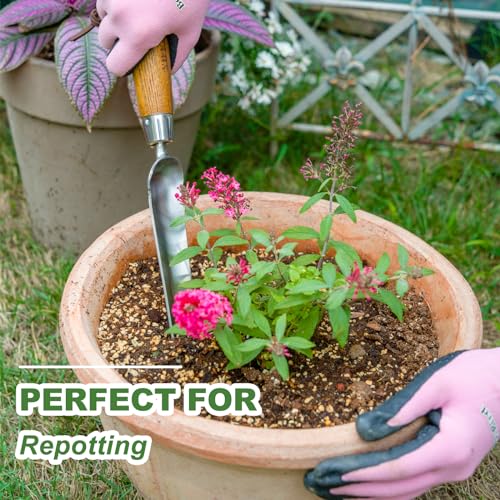 Haliaeetus Gardening Sickle Hoe, Stainless Steel Garden Planting Trowel for Repotting, Long and Narrow Widger for Weeding from Tight Areas, Hand Transplanter with Wood Handle for Planting, Weeding