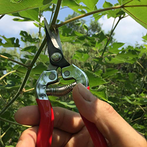 gonicc 8" Professional Sharp Bypass Pruning Shears(GPPS-1002) and Micro-Tip Pruning Snip (GPPS-1008), Tree Trimmers Secateurs,Hand Pruner, Garden Shears,Clippers for The Garden.