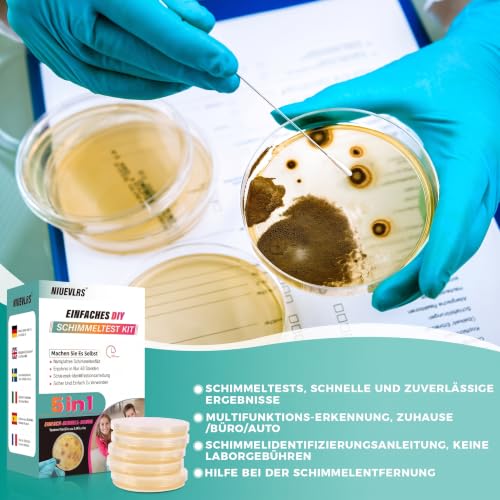 Mold Test Kit for Home - Mold Test for 6 Rooms - Mold Quick Test Room Air Kit for Indoor Air Quality - Includes Identification Guide & Instructions