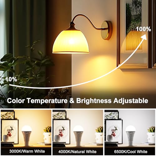 E27 LED Light Bulb with Battery Remote Control Dimmable Battery Bulbs 2600 mAh | Outdoor lamp, timer light bulb base and USB rechargeable dual purpose for table lamp/camping (3000K/4000K/6500K) 3 Color Temperatures, 1 Piece