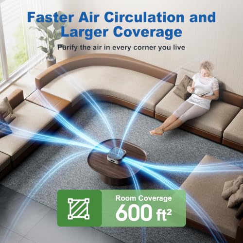 Air Purifier for Home – True HEPA Filter for Pets,Smoke & Allergies Grey White 1 Pack