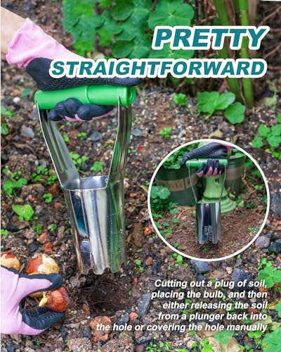 Bulb Planter Tool with 6 Inch Depth Measurment Tulip Bulb for Planting Tulip Daffodils Dahlias Garlics Bulbs Spring Fall Planting Handhold Planting Tool Garden Bulb Transplanter Hole Digger + Bulb Pla