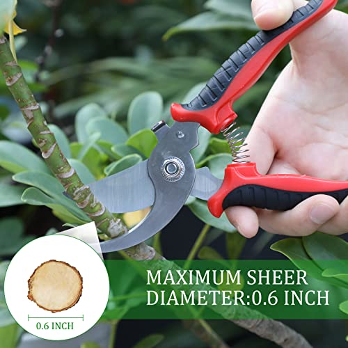 6 Pcs Garden Pruning Shears Heavy Duty Gardening Scissors,Red Black Red Black