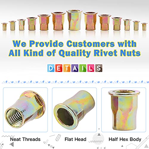 Glarks 320Pcs M3 M4 M5 M6 M8 M10 M12 Half Hex Body Flange Rivet Nuts Assortment Kit, Zinc Plated Carbon Steel Flat Head Threaded Insert Nut Rivnut Set (Rivet Nut Set) 320Pcs Rivet Nut Set