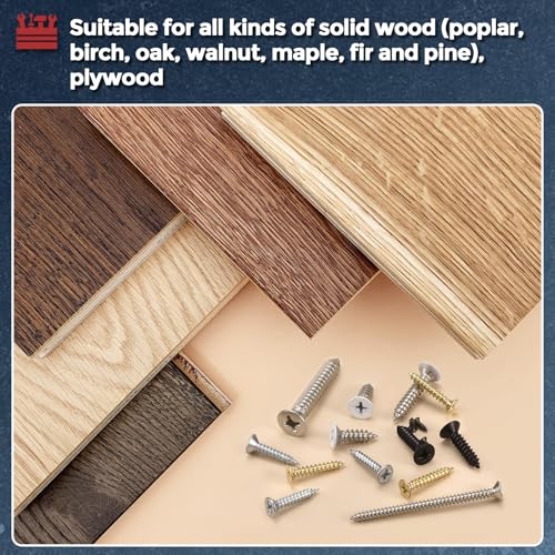800Pcs Phillips Wood Screws Assortment Kit #8x5/8-2" 304 SS Silver #8x5/8" to 2" 800