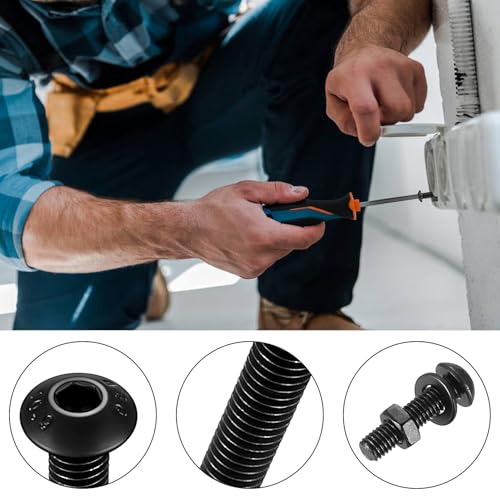 1630 Pcs M2 M3 M4 M5 Pan Head Machine Screws Assortment