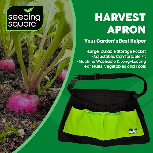 Pokey Planter + Black Harvest Apron Bundle – Dibber Tool for Planting Seeds & Seedlings with Garden Apron for Easy Carry & Organization