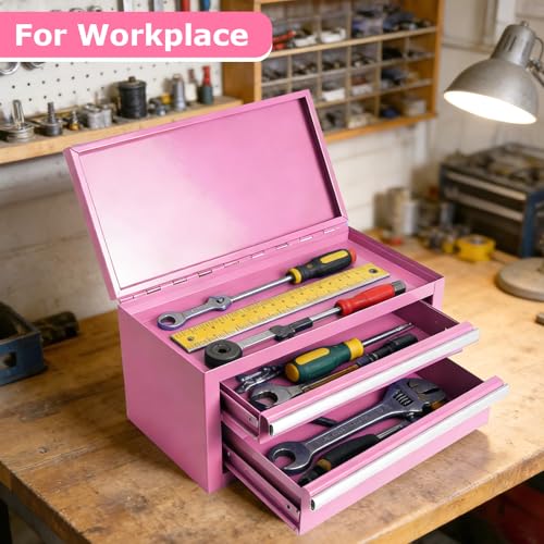 Mini Steel Tool Box with Drawers - Small Tool Chest for Small Item Storage Organizer - Portable Metal Toolbox Organizer with Tool Drawer (mini pink) mini pink