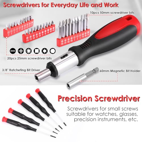 TLGREEN Power Tool Organizer Wallt+198 Piece Tool Box, Tool Kit, Mechanics Tool Set, Portable Toolbox with Adjustable Wrench Pliers Socket Bits, with Plastic Toolbox, for House Apartment Garage (Red)