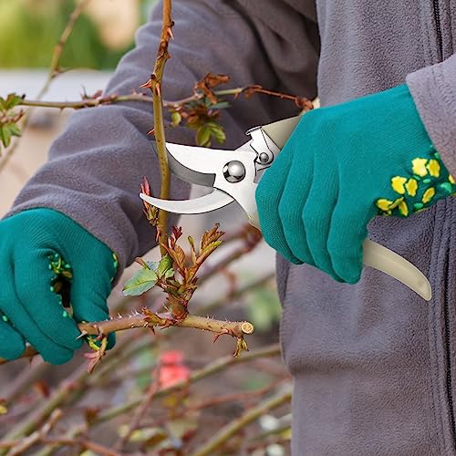 Therwen 12 Pcs Garden Shears Flower Scissors Pruning Shears Floral Garden Clippers Hand Pruners Branch Cutter Gardening Tools for Plants Cutting, Trimming, Fruits Picking (Beige,Bypass) Beige, Bypass