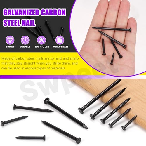 Swpeet 300Pcs 5 Sizes 3/4" 1-1/4" 1-3/5" 2" 2-3/8" Black Hardware Nails Assortment Kit，Steel Nail, Galvanized Nails, Small Nails, Finishing Nails, Wall Nails, Wood Nails, Nails for Concrete Brick