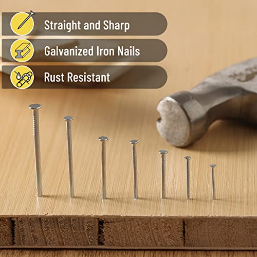 Mr. Pen- Nail Assortment Kit, 1500 pcs, Assorted 12 Sizes
