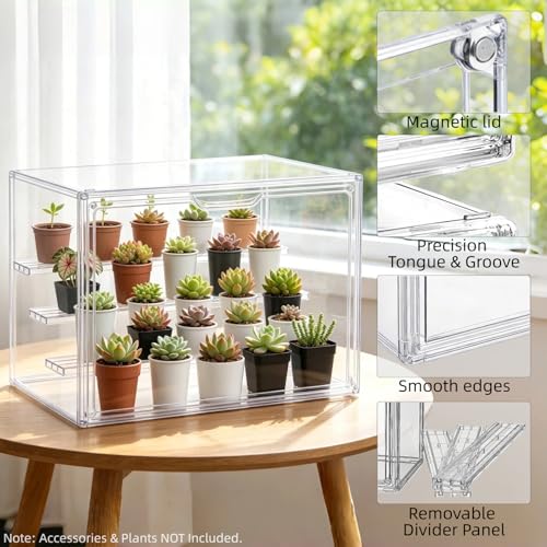 4-in-1 Seed Starter Kit with Mini Greenhouse & Tools