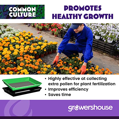 COMMON CULTURE Trim Tray Kit with Trimming Tray 13" x 20", 150 Micron Pollen Screen, Bottom Harvest Bin, Scissors, Herb Plant Flower Dry Sifter Accessories and Supplies Set 20" x 13" x 2.6"