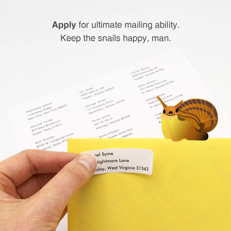 ChromaLabel 0.75 x 2.25 Inch Printable Address Labels for Laser & Inkjet Printers, 825/Pack, 25 Sheets 3/4" X 2.25"