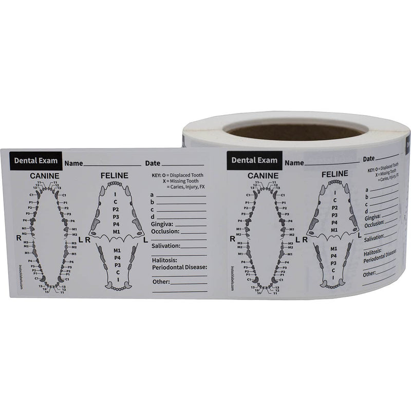 Canine and Feline Dental Exam Veterinary Labels 3 x 4 Inch 100 Total Stickers