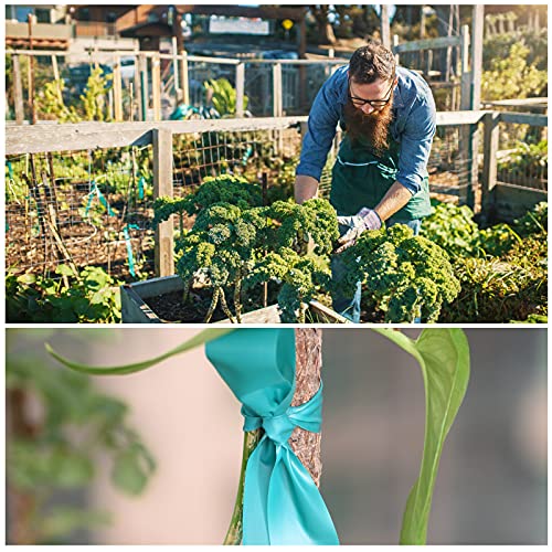 TELENT OUTDOORS Stretch Tie Tape, 1” Wide 200FT Reusable Garden Plant Ties Green Tapes for Plants, Thick Garden Vinyl Stake Ribbon for Branches Flowers Tomatoes Indoor Outdoor Greenhouse (Pack of 3) 200FT (Pack of 3)