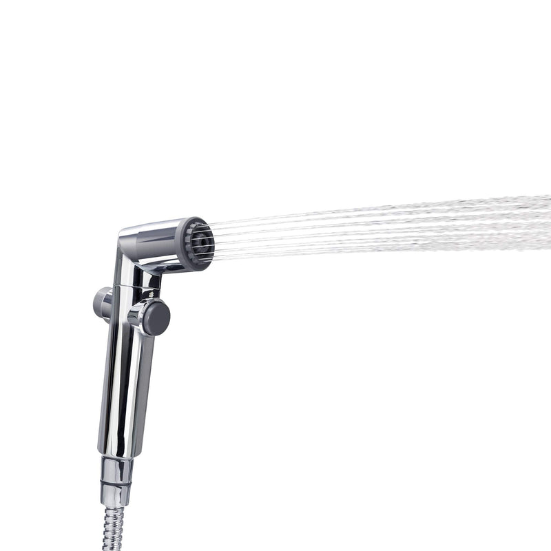 Brondell CS-30 CleanSpa Hand Held Bidet, Chrome