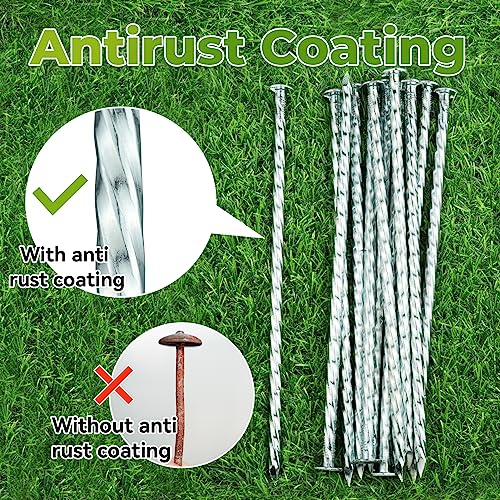 50-Pcs Galvanized Landscape Stakes, 10-Inch Length, 0.7 Inch Extra Large Top, Spiral Metal Anchoring Spikes, for Paver Edging, Weed Barrier, Camping Tent, More