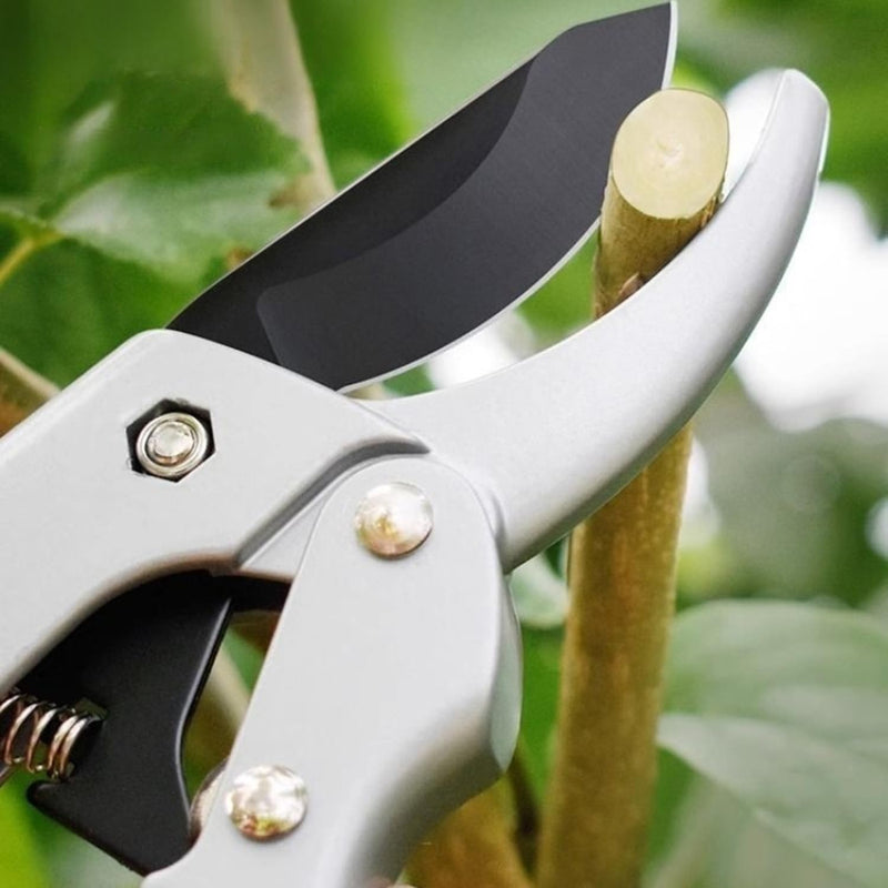 garden shears, Japanese scissors gardening tools, plant pruners for flower, rose, stem, fruit tree, florist cut fresh floral clippers, sharp pruning snips (Silver - 2 pack, 2)