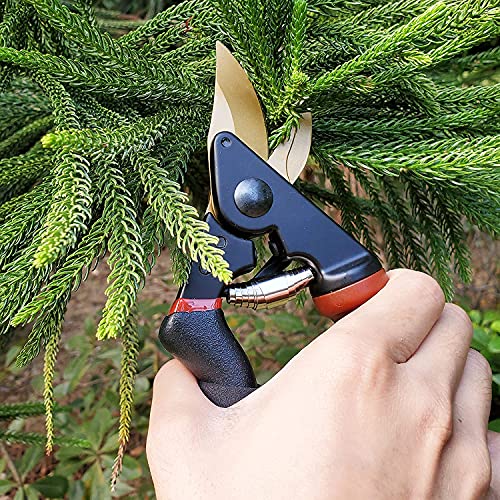 gonicc 8.5" Professional Rotating Bypass Titanium Coated Pruning Shears(GPPS-1014) and Micro-Tip Pruning Snip (GPPS-1008), Pruners with Heavy Duty SK5 Blade. Soft Cushion Grip Handle for Everyone.