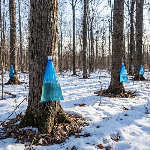 6 Set Maple Syrup Tapping Kit PVC Maple Sap Sack Holder, 3 Gallon Collection Bags, 5/16" Drill, Zip Ties, and Tree Sap Taps Complete Kit Big Capacity for Collection and Harvest 6