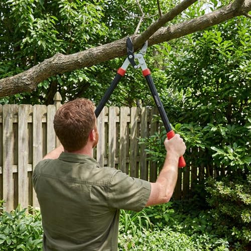 AGRICUT 21" Garden Loppers Anvil - Loppers for Tree Trimming Heavy duty 1.5" Cut Capacity Branch Cutter with Sharp High Carbon Steel Blade for Cutting Branches 21" Lopper