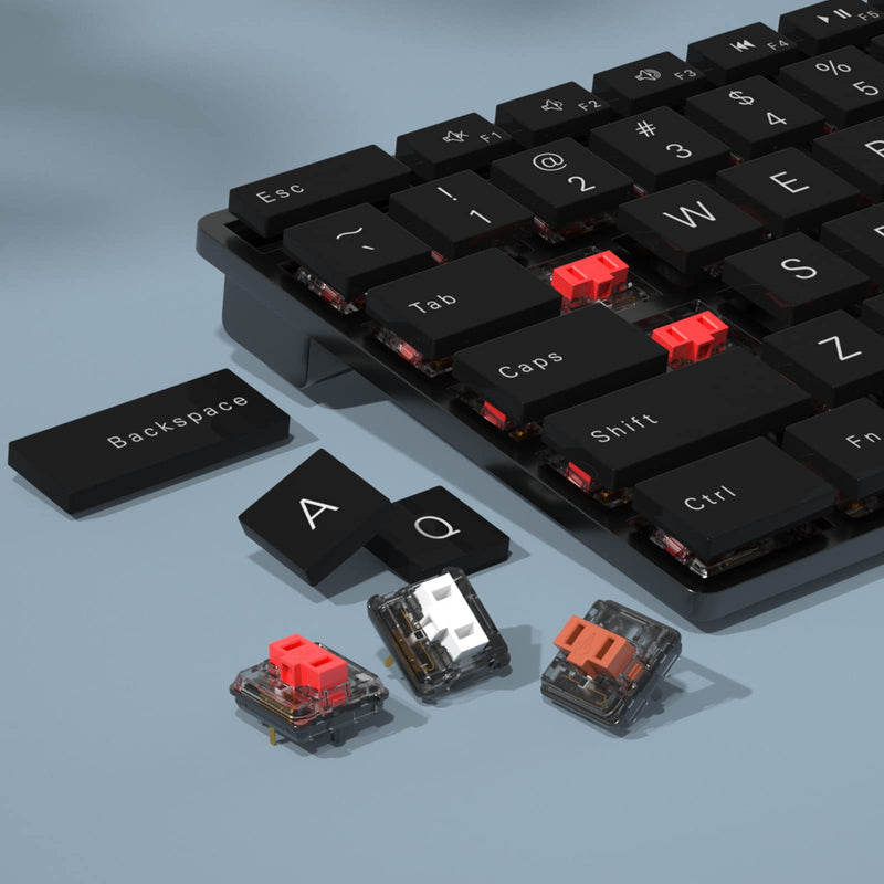 KAILH Official Store Low Profile Switch 1350 Chocolate Mechanical Keyboard Switch RGB SMD Clicky (30, Choc Brown) 30