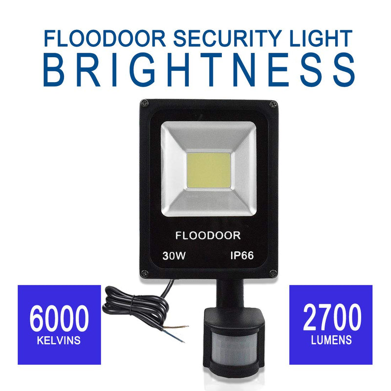 30W LED Motion Sensor Light Outdoor Safety Waterproof 12-24V AC/DC IP66 Super Bright Floodlight, 6000K, Daylight White, 150W Bulb Equivalent, 2700LM, PIR Intelligent Sensor Light (No Plug)