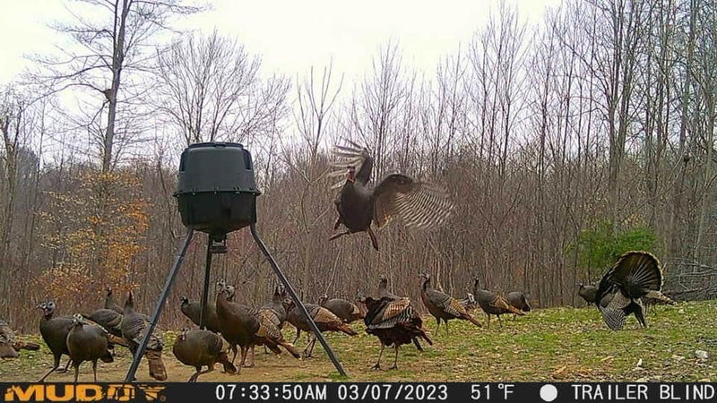 Muddy Mitigator Cellular 24MP Imaging Trail Camera with 80 Feet Detection and Flash Range and 0.7-Second Trigger Speed