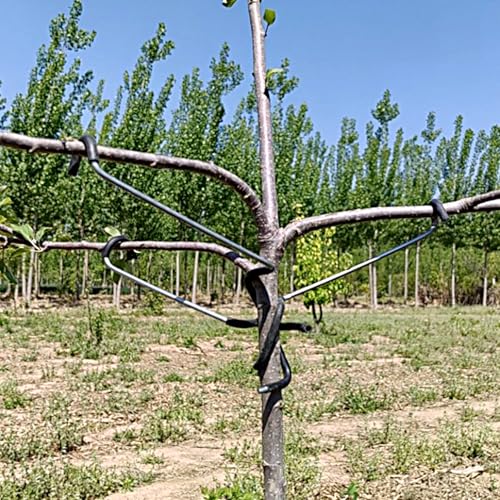 Fruit Tree Branch Spreader 20 Pack Versatile and Durable Solution for Tree Supports Branches Extension (10 Inch) 10"