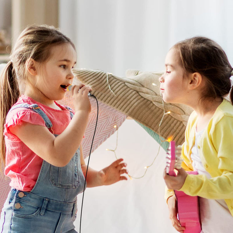 DELADOLA Mini Microphone,Portable Vocal Tiny Microphone, Asmr Microphone,Phone Microphone, Mini Karaoke Microphone for Voice Recording Chatting and Singing On iPhone,Android,Laptop Notebook（Silver） silver