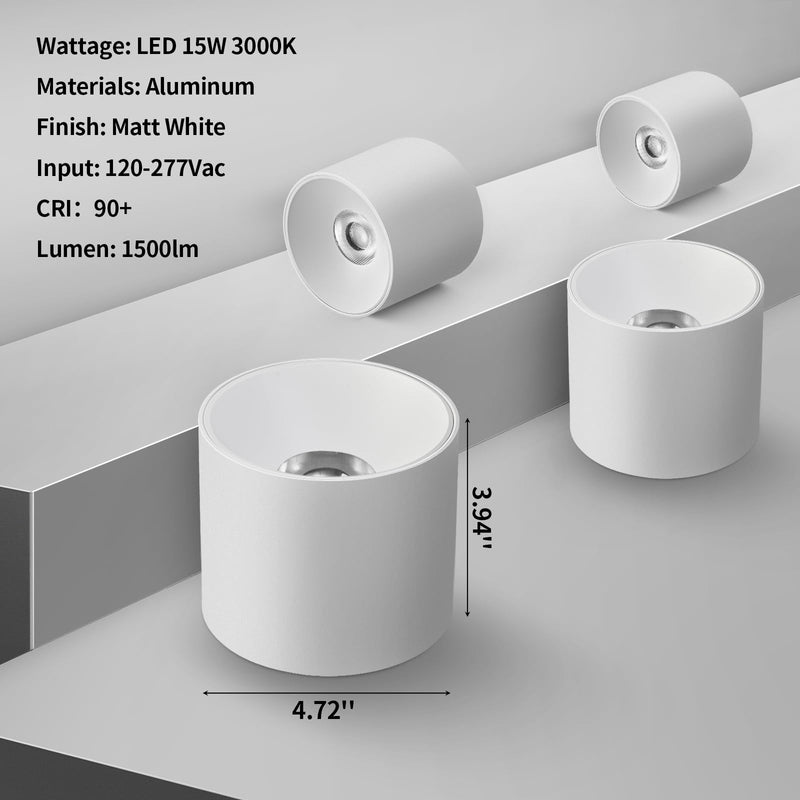 Ceiling Light Fixture LED Dimmable Modern Ceiling Spot Light, Flush Mount Ceiling Light 4.72'' Cylinder Ceiling Lamp for Living Room Hallway Foyer Dining Room 3000K 15W 1500lm CRI 90 (White) White