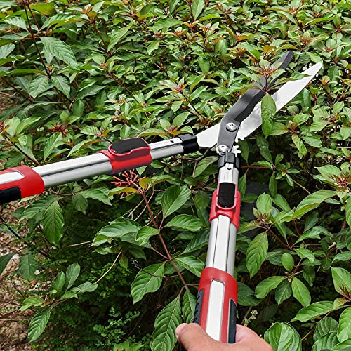 Kapoo Adjustable Hedge Shears, 26-34 Inch for Shaping Hedges, with 9 Inch Wavy Blades and Double-Teflon Coating, for Trimming Borders, Boxwood, and Bushes ba08,Red