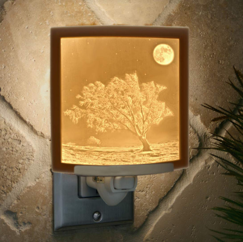The Porcelain Garden Moon Night Light-Porcelain Lithophane Frosty Moon, Wall Plug in for Nursery, Kitchen, Bath, Nature Accent Light