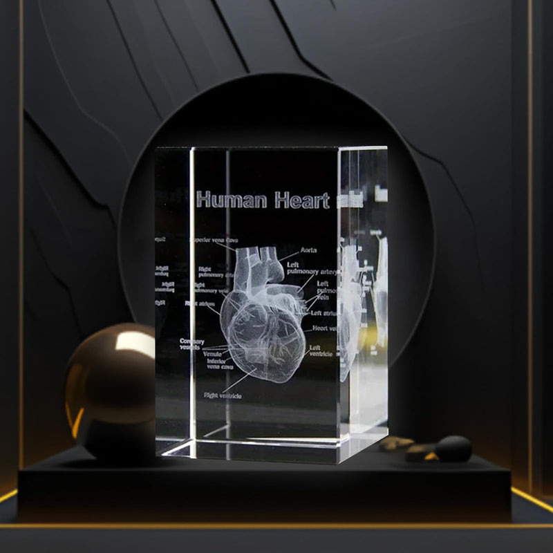 Anatomical Gifts 3D Representation of Heart for Medicine & Decoration | Crystal Glass Model Durable Teaching Aid for Dentists/Students Paperweight Compact for Practice & Decoration ‎Herz
